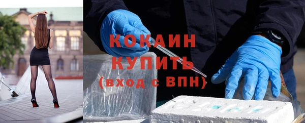 индика Армянск
