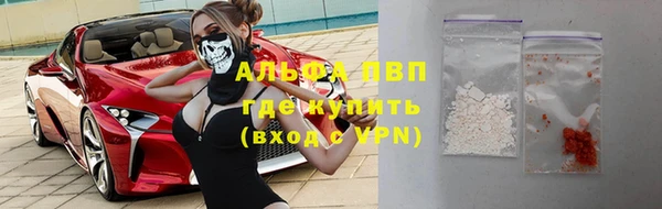 индика Армянск