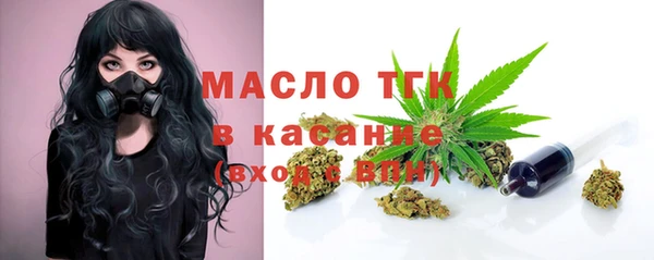 индика Армянск