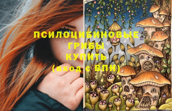 индика Армянск